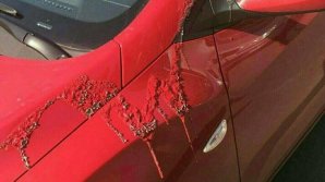 В Киеве неизвестные облили кислотой более 20 машин