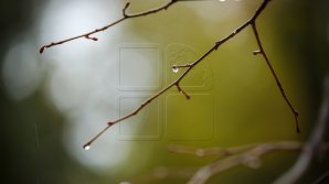 Прогноз погоды на 1 октября 