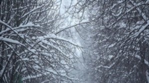 В Румынии выпал первый снег: фото