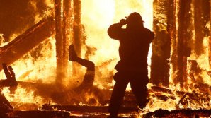 Видео: мужчина скончался, попав в гигантский костер на фестивале Burning Man