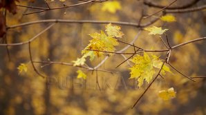 Прогноз погоды на 7 ноября