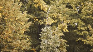 Прогноз погоды на 13 сентября