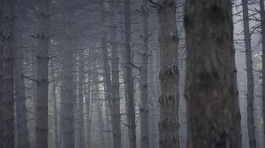 Прогноз погоды на 28 сентября