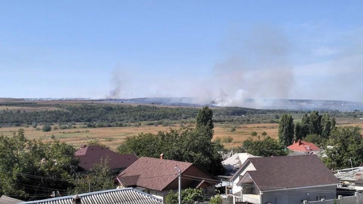 В Яловенах загорелась сухая трава, с пожаром борются три пожарных расчёта