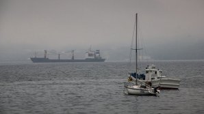 Украинцев поймали на контрабанде людей в Нидерландах