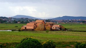 На Мадагаскаре запретили выкапывать покойных и танцевать с ними