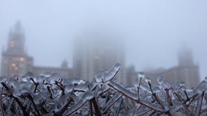 МЧС выпустила экстренное предупреждение об ухудшении погоды в Москве