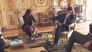 Пес Макрона помочился на камин Елисейского дворца