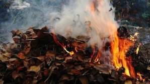 За сжигание листвы жителям Молдовы грозит штраф – от 600 до 1200 леев 