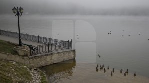 Прогноз погоды на 12 ноября