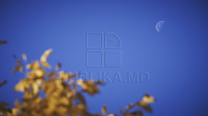 Прогноз погоды на 26 ноября