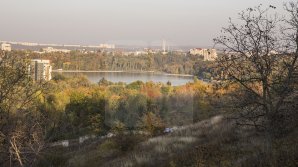 Не больше +13 градусов тепла днём: прогноз погоды на 15 ноября