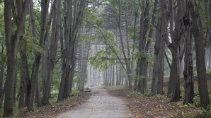 Прогноз погоды на 22 октября