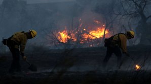 Материальный ущерб от лесных пожаров в Калифорнии превысил миллиард долларов