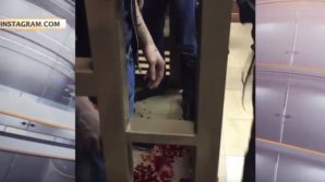 "Я же умоляла вас этого не делать!": опубликовано видео с места попытки массового суицида в Мосгорсуде