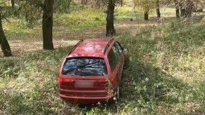 В Крикова трое подростков угнали машину и прокатились на ней в лес