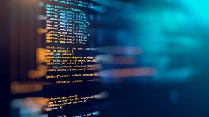 Иностранные предприниматели: В ближайшие годы Молдова должна стать страной информационных технологий