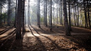 Прогноз погоды на 20 ноября 