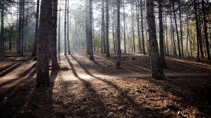 Прогноз погоды на 2 ноября 