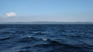 Двое полицейских погибли при спасении людей из перевернувшейся лодки в Челябинске