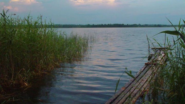 В Татарстане мужчина спас двух бабушек, тонувших в озере 