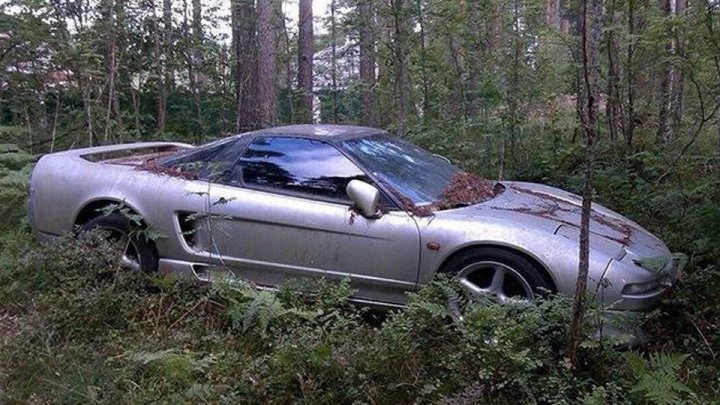 В лесу под Петербургом обнаружили поросший мхом спорткар: фото