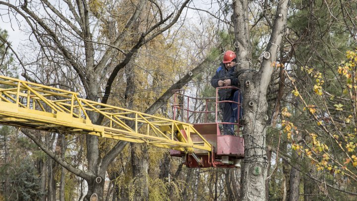 Фоторепортаж: столицу начали украшать праздничными гирляндами