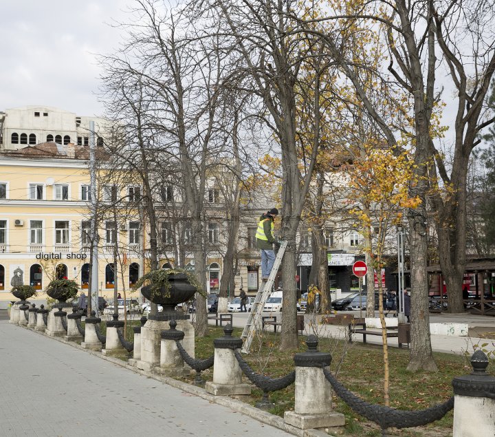 Фоторепортаж: столицу начали украшать праздничными гирляндами