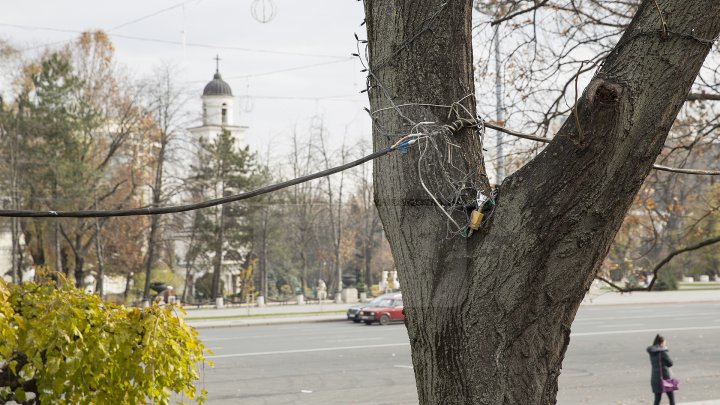Фоторепортаж: столицу начали украшать праздничными гирляндами