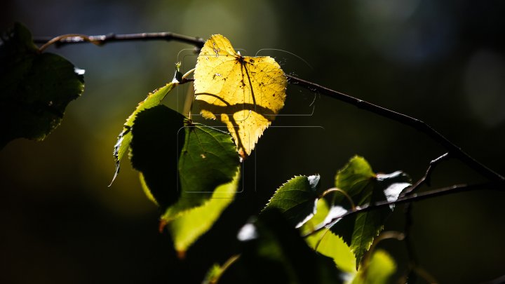 Прогноз погоды на 11 ноября