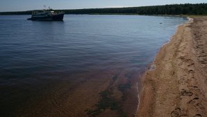Двух человек, пропавших в Финском заливе, нашли мертвыми