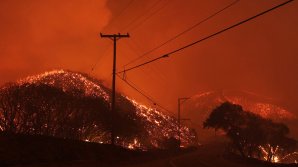 В Калифорнии тысячи жителей эвакуированы из-за природного пожара