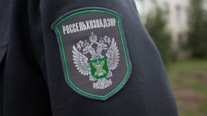 Молдову посетит группа экспертов Россельхознадзора