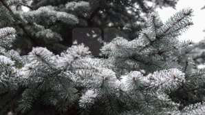 Когда ждать холодов в Молдове