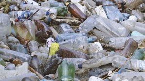 Жители Бельц снова пожаловались на проблемы с вывозом мусора