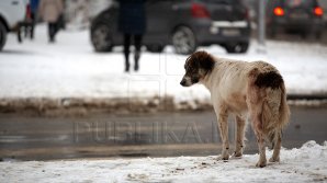 Высота сугробов на севере страны достигла 10 сантиметров