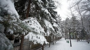 Молдову ожидает резкое похолодание и снег 