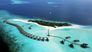 Житель Мальдив променял пляжи на руины в Сирии и погиб