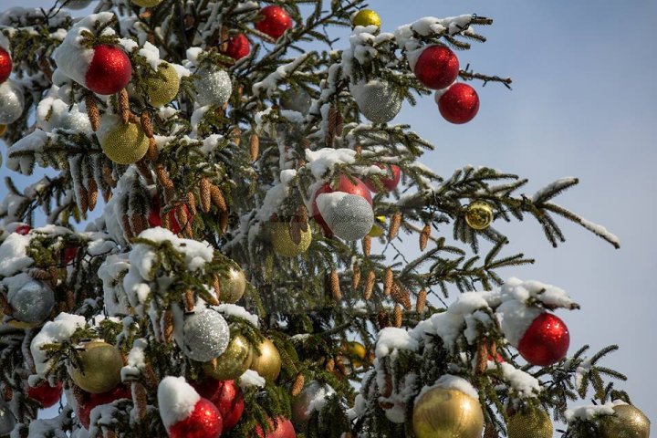 Рождественскую ярмарку показали на фото после первого снегопада