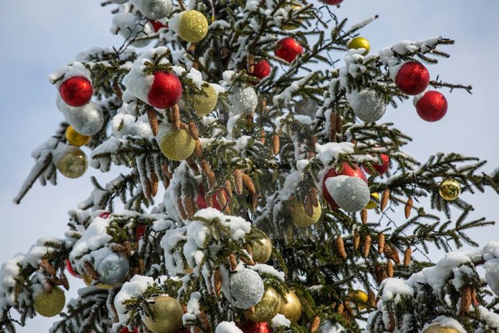 Рождественскую ярмарку показали на фото после первого снегопада