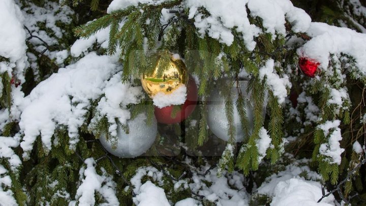Рождественскую ярмарку показали на фото после первого снегопада