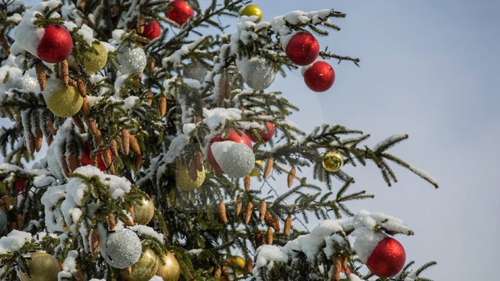 Рождественскую ярмарку показали на фото после первого снегопада