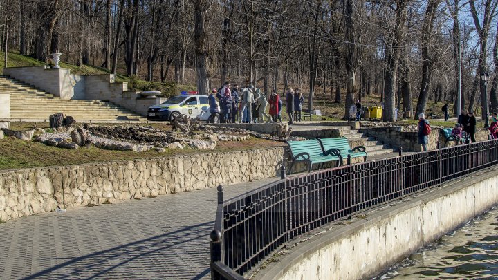 Женщина закидала булыжниками скульптуру влюблённых в парке «Валя Морилор»: видео