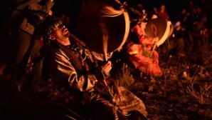 Ученые нашли универсальный "язык" общения