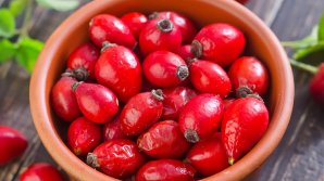 Экспортеры шиповника просят снизить налоги