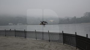 Прогноз погоды на 5 января