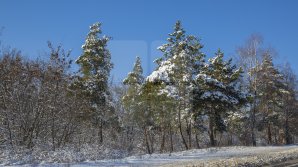 Прогноз погоды на 29 января 