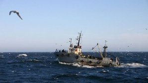 Видео с пропавшего "Востока" оказалось снятым на другом судне