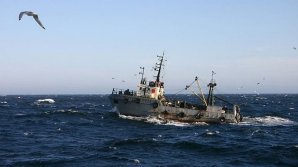 Пропажа судна "Восток": на борту находились только граждане России