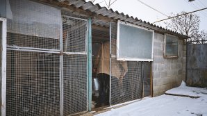 В сёлах начали готовиться к встрече Рождества заранее